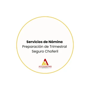Preparación de Trimestral Declaración de Contribuciones de Seguro Choferil